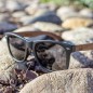 Hybrid Black Forest Gafas de Sol de Madera